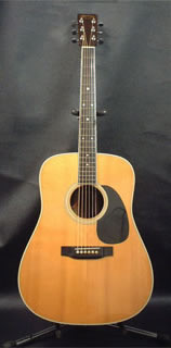 MARTIN D-35p w/HIGHLANDER