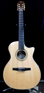 Taylor NS34ce E.Gut