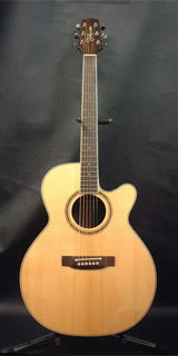 TAKAMINE FP-460SC